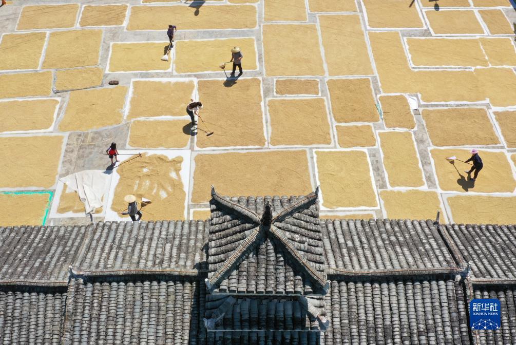 百老汇注册